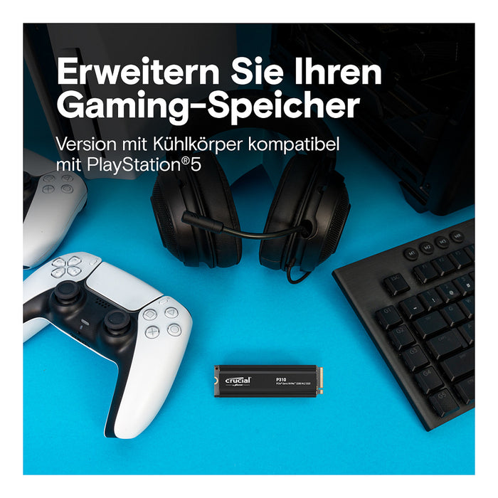 Crucial P310