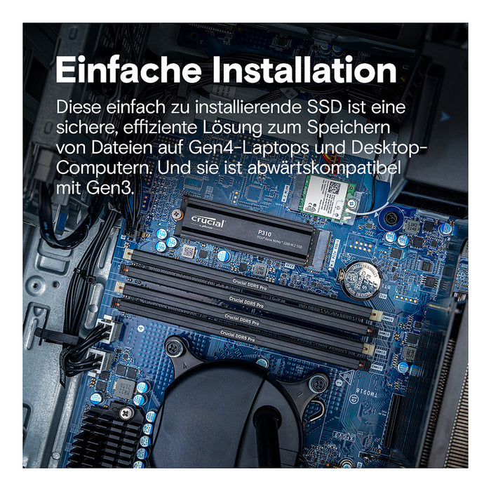 Crucial P310