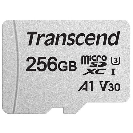 Transcend 300S