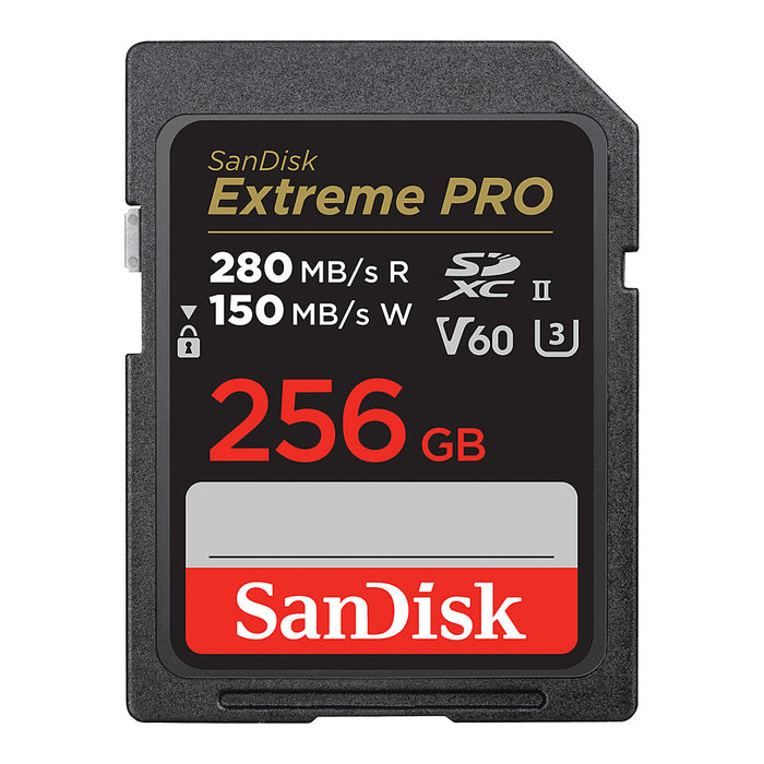 SanDisk SDSDXEP-256G-GN4IN memory card