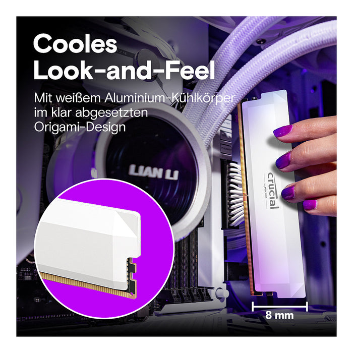 Crucial Pro CP2K32G60C40U5W memory module