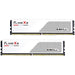 G.Skill Flare X5 F5-6000J2836G32GX2-FX5W