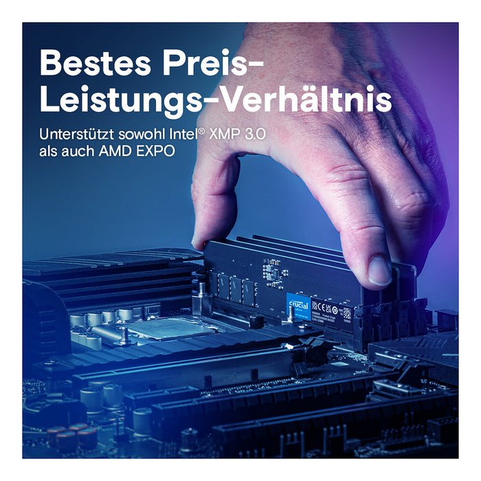 Crucial CT64G56C46U5 memory module