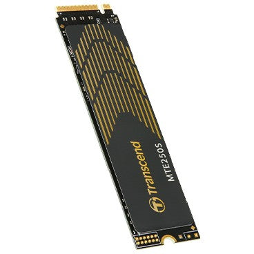Transcend 250S