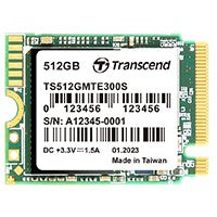 Transcend MTE300S