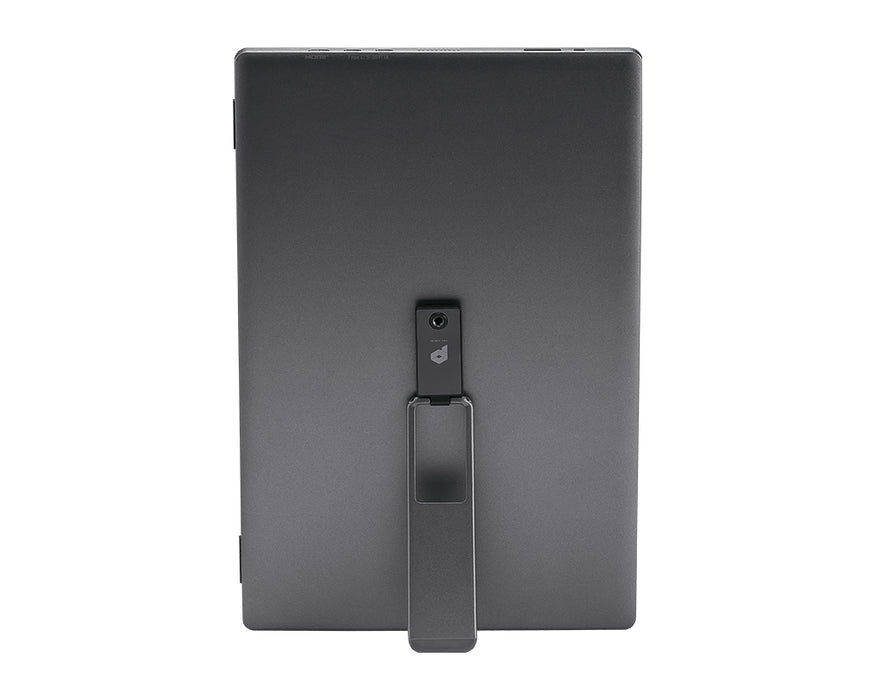 MSI PRO MP161DE E2 computer monitor 39.6 cm (15.6") 1920 x 1080 pixels Full HD LED Black