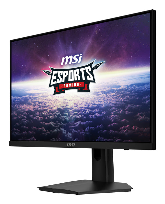 MSI G244F E2 computer monitor