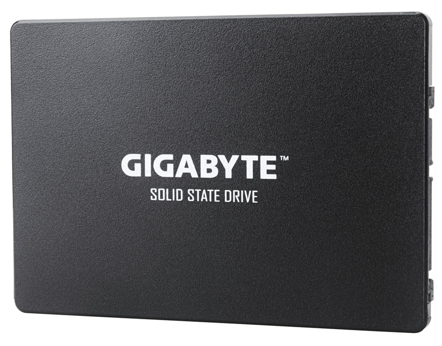 Unidad de estado sólido interna GIGABYTE GP-GSTFS31256GTND
