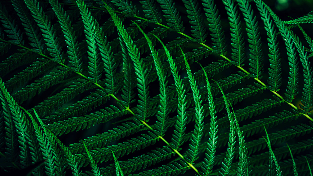 Philips 5000 series 27B2G5200/00 computer monitor