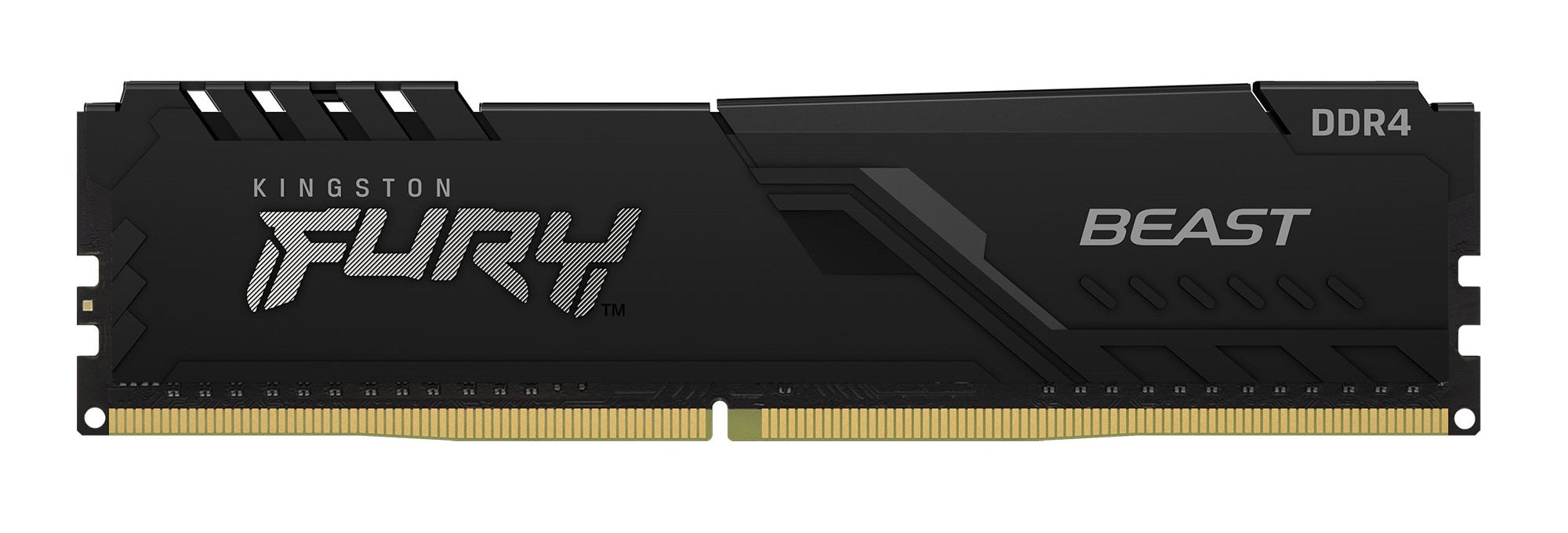Kingston Technology FURY Beast memory module