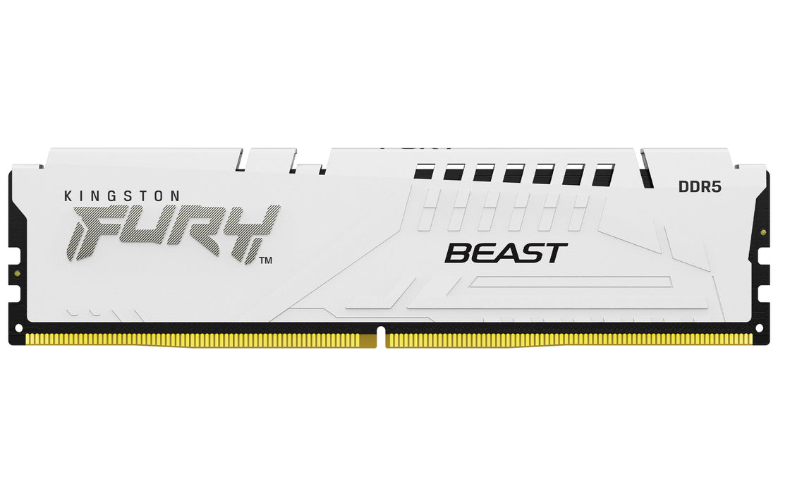 Módulo de memoria Kingston Technology FURY Beast